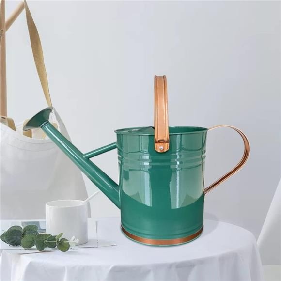 Metal Watering Can for Outdoor and Indoor Plants, 1 Gallon - Summer Gardening - Picture 6 of 8